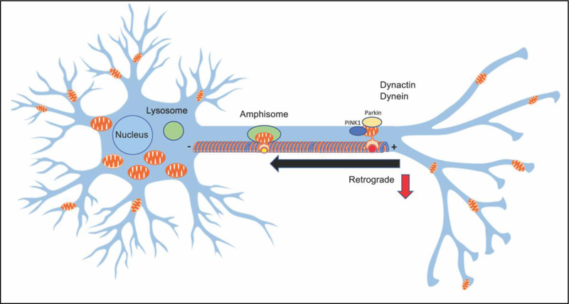 Figure 4: