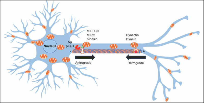 Figure 3: