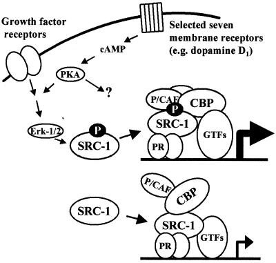 FIG. 8