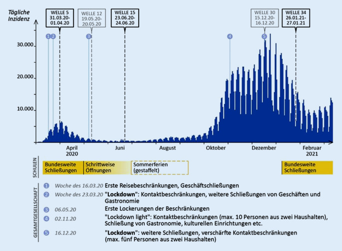 graphic file with name 103_2021_3453_Fig1_HTML.jpg