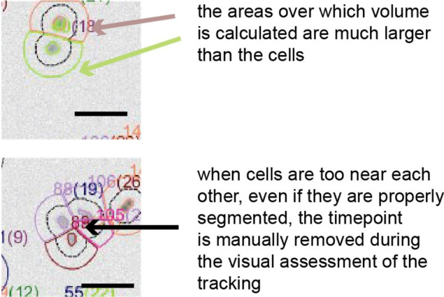 Author response image 1.