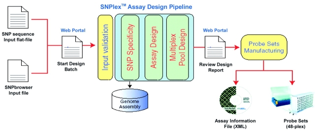 FIGURE 3