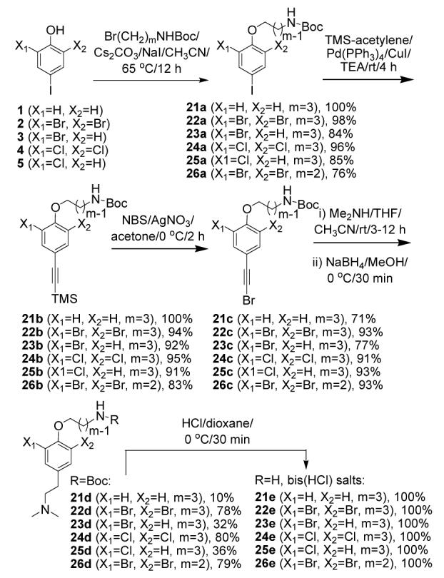 Scheme 4