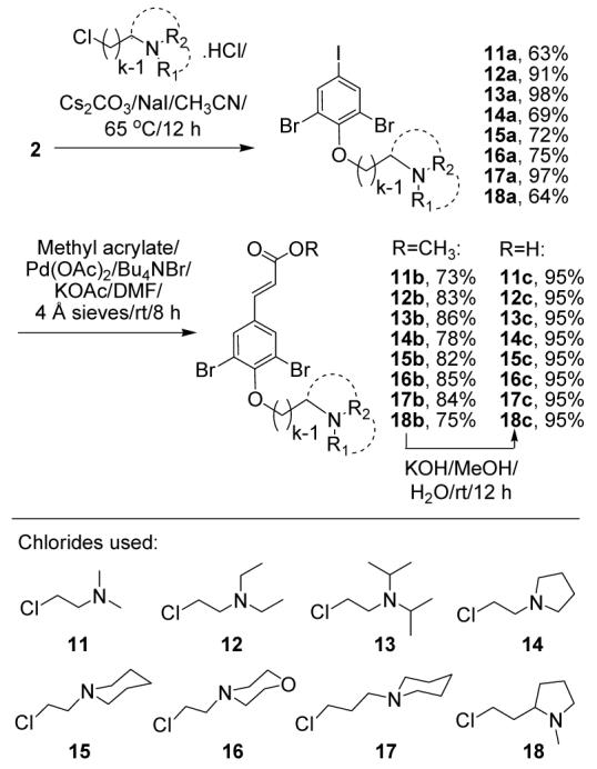 Scheme 2