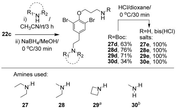 Scheme 5