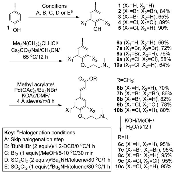 Scheme 1