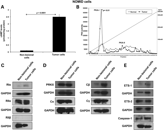 Figure 4.