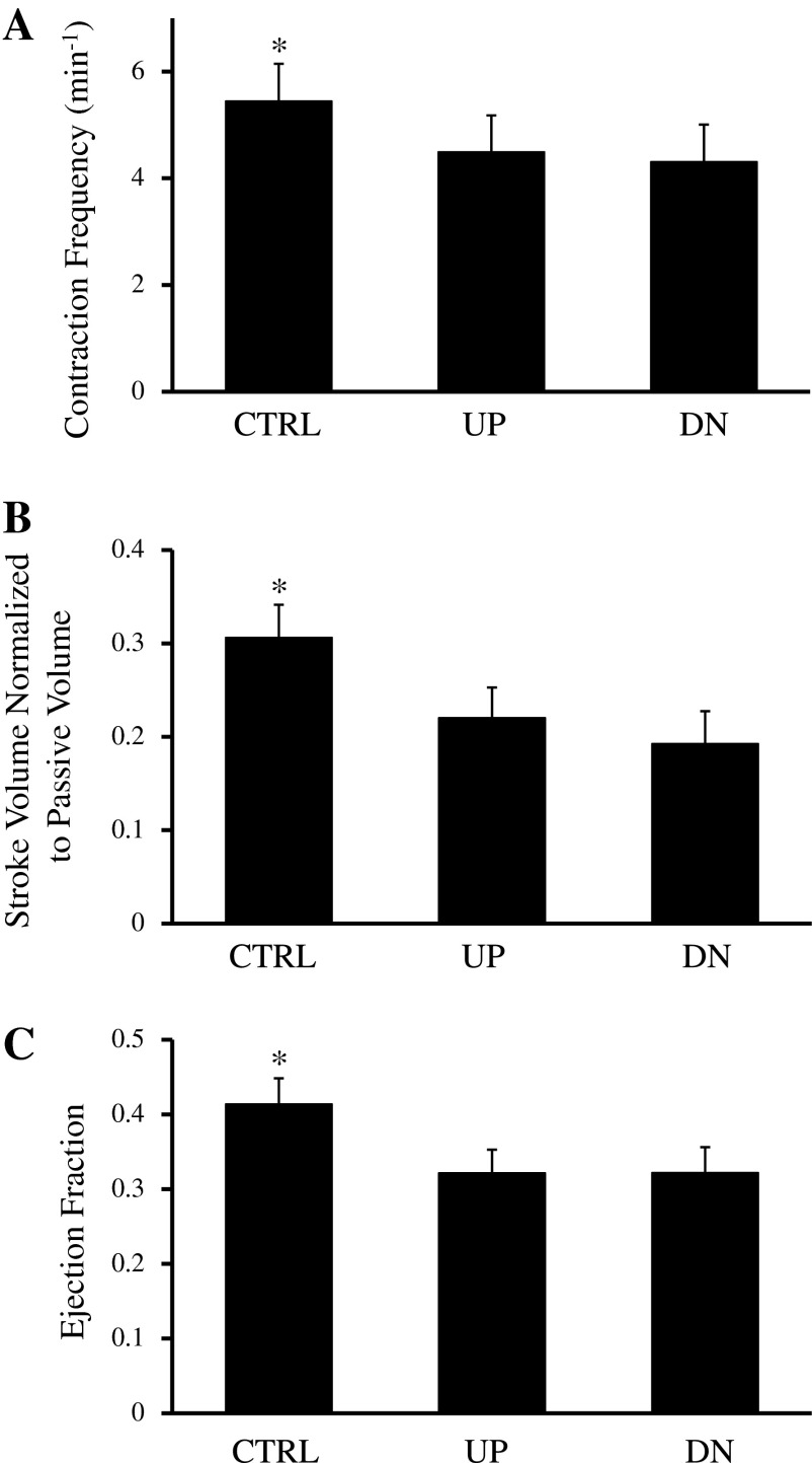 Fig. B2.