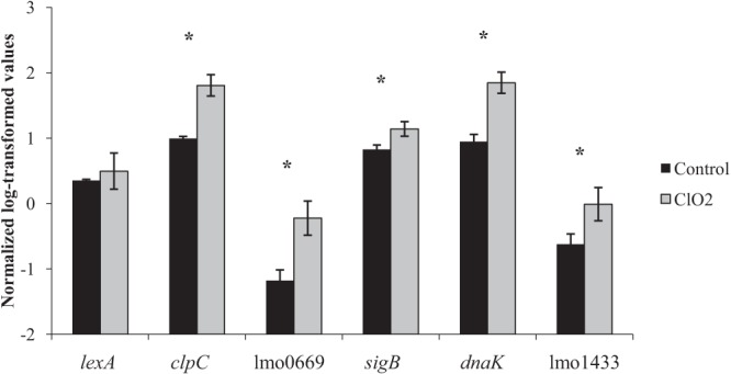 FIG 2