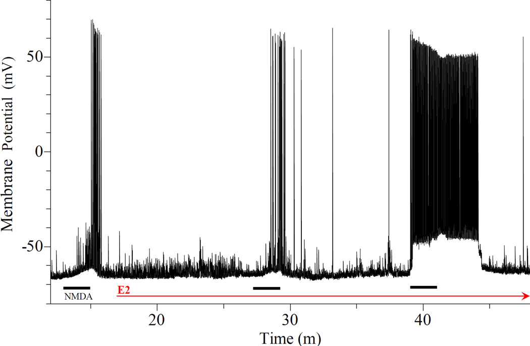 Fig. 10