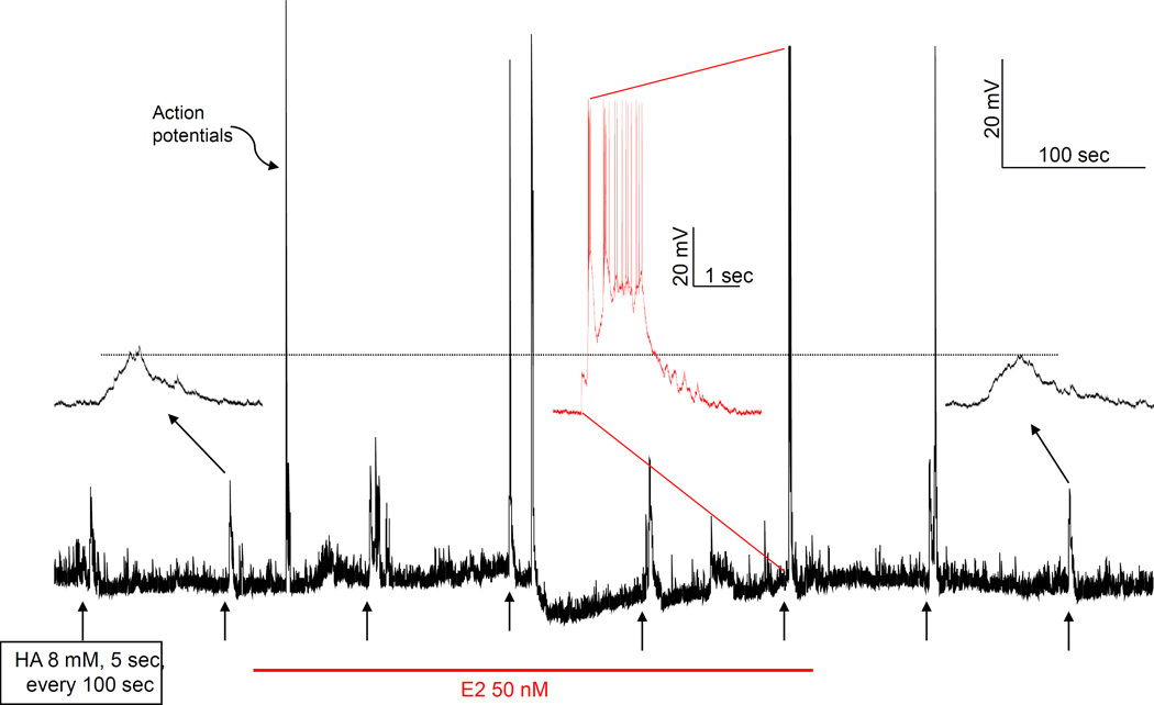 Fig. 8