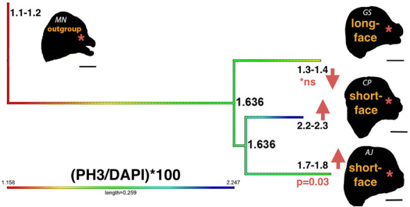 Fig. 7