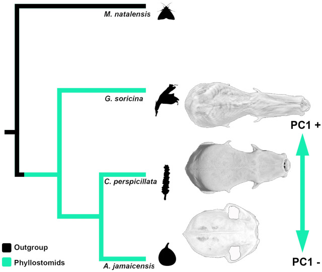 Fig. 2