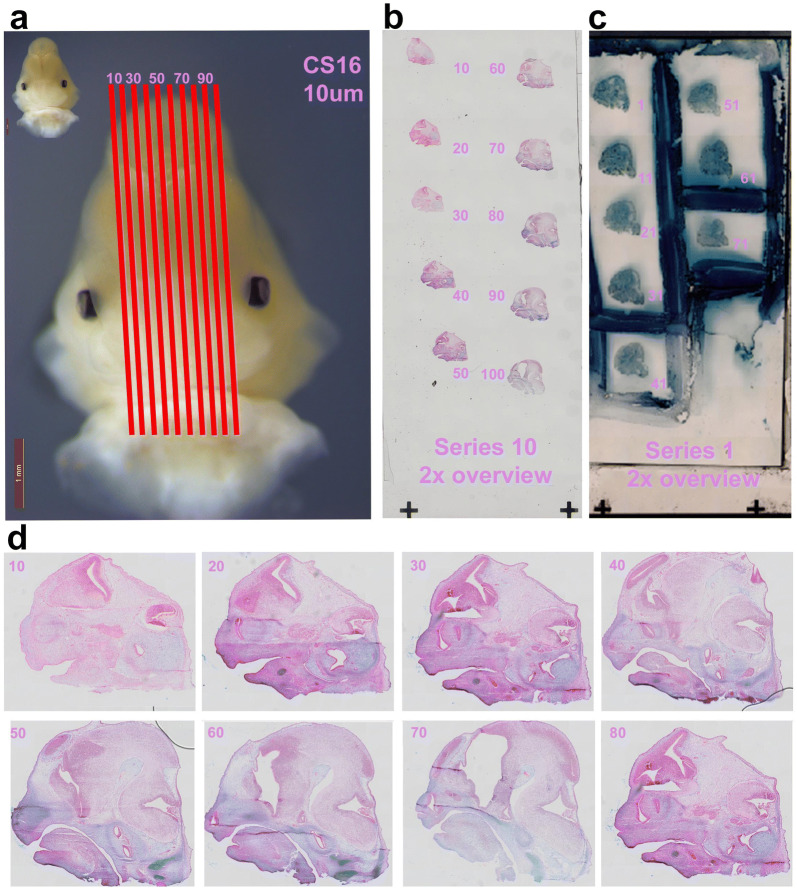 Fig. 3