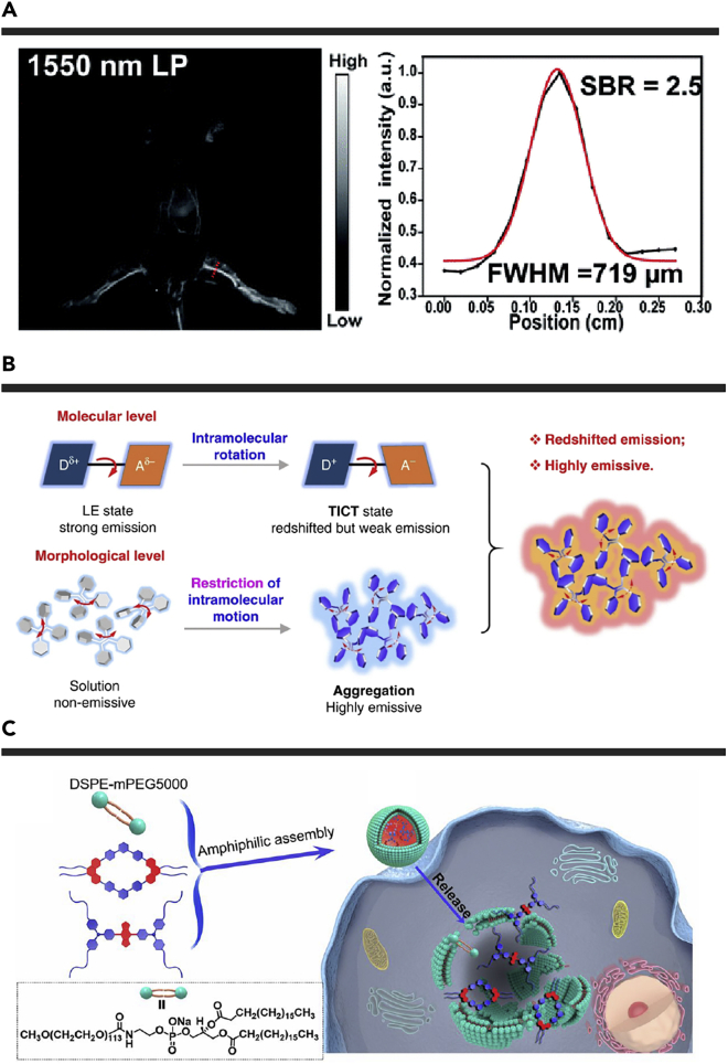 Figure 4