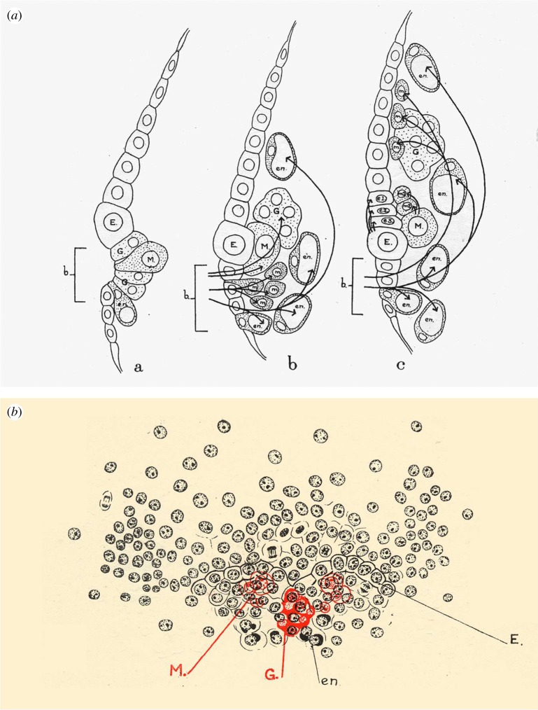 Figure 3.