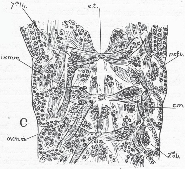 Figure 4.