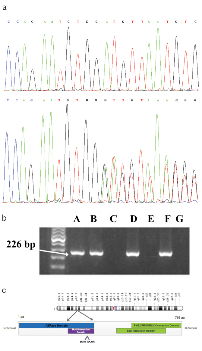 Figure 2. a–c