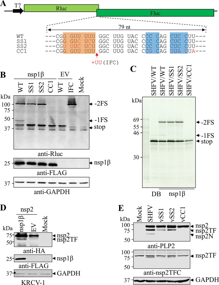 FIG 6