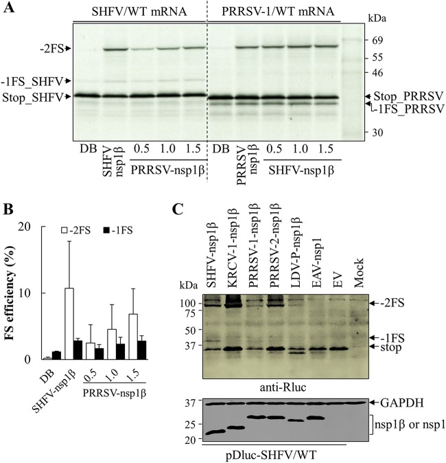 FIG 10