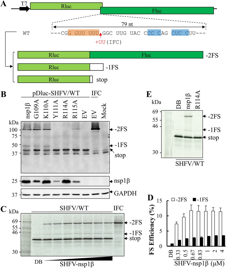 FIG 4