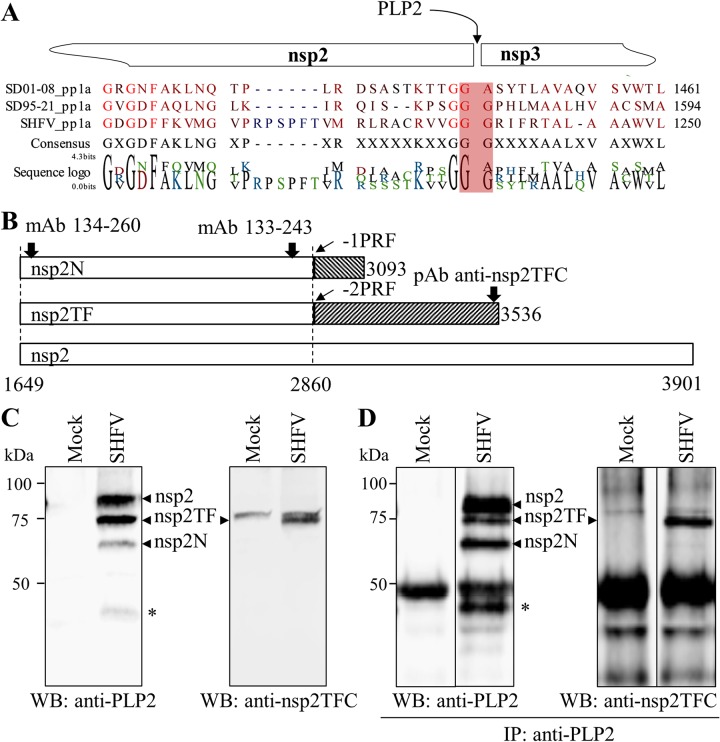 FIG 2