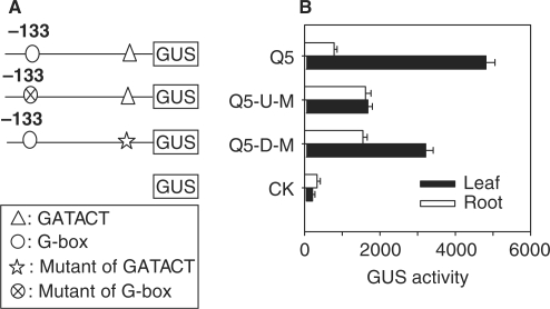 Figure 6.