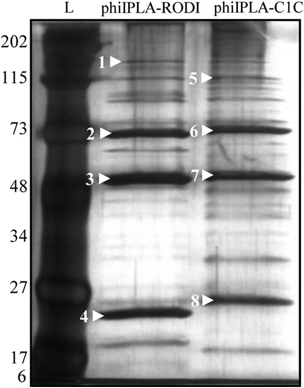 FIG 4