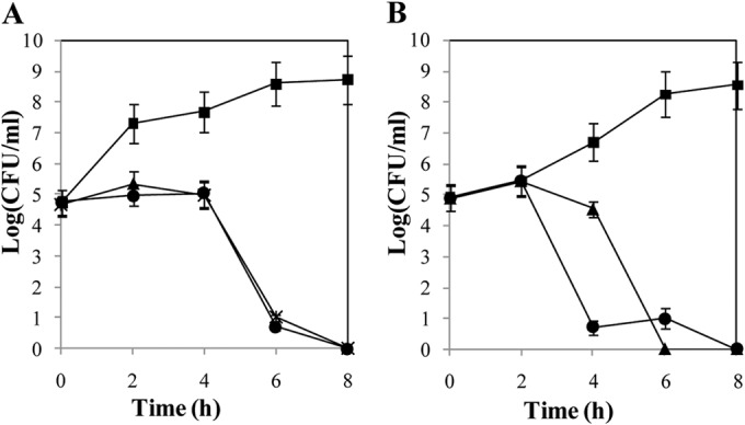 FIG 5