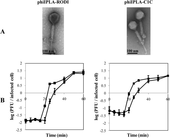 FIG 1