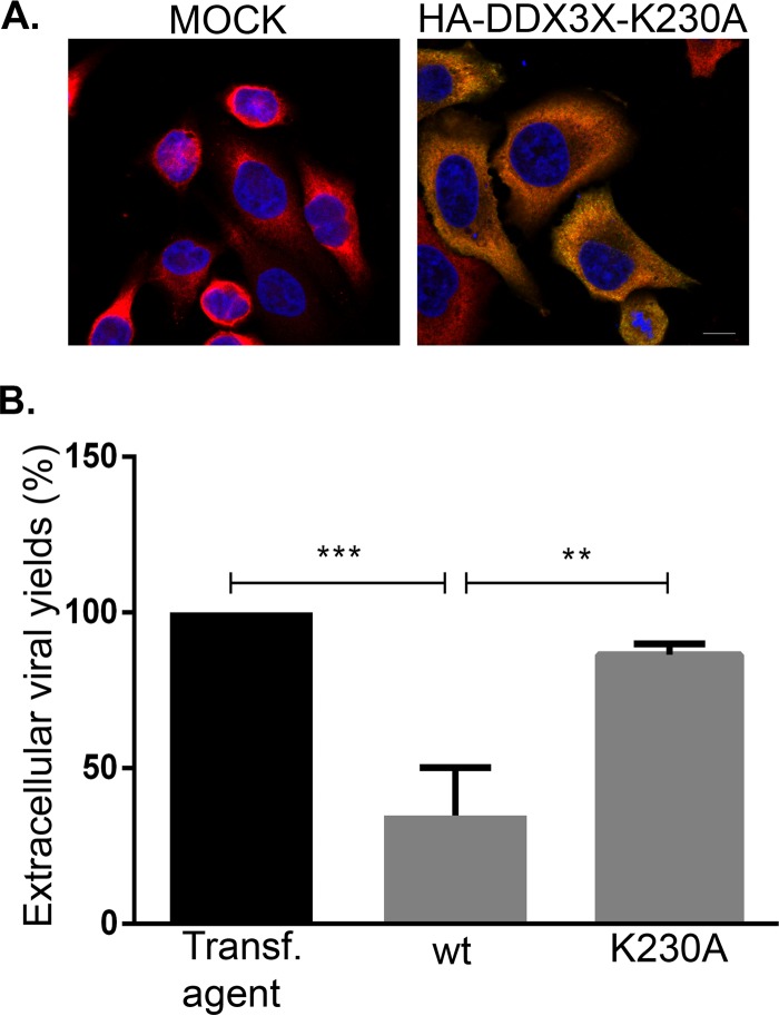 FIG 15