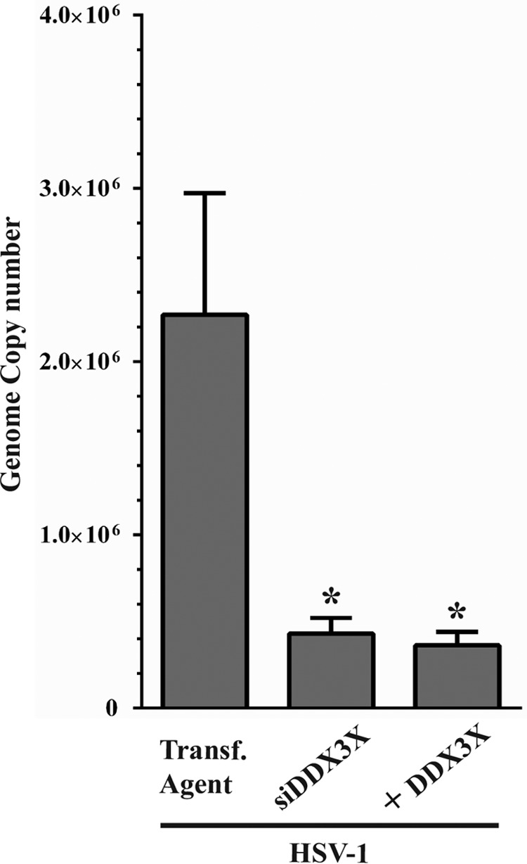 FIG 14