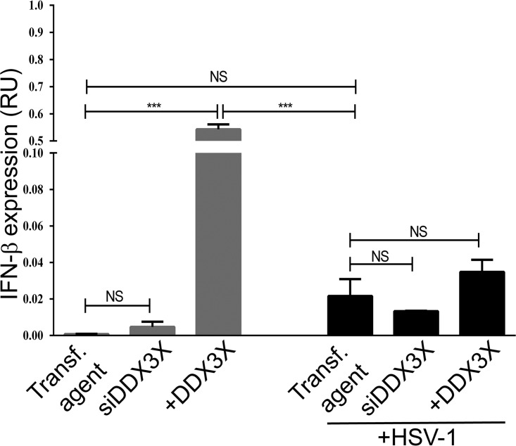 FIG 13