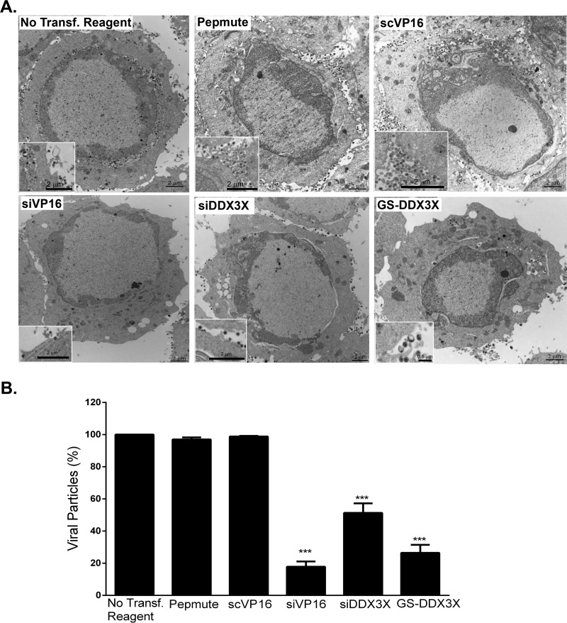 FIG 10