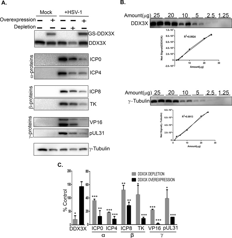 FIG 11