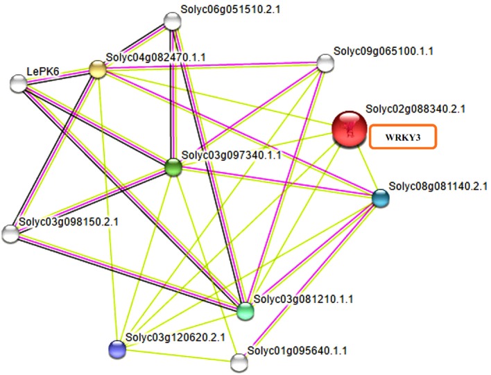 Figure 6