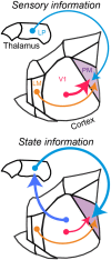 Figure 6.