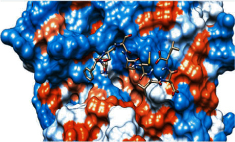 Figure 23