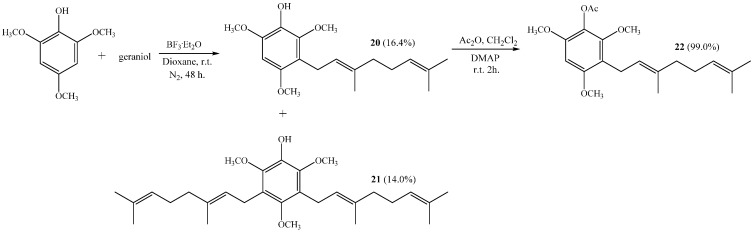 Scheme 5