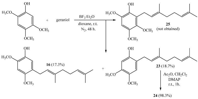 Scheme 6