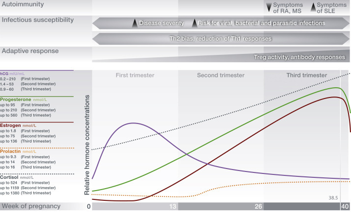 Figure 6