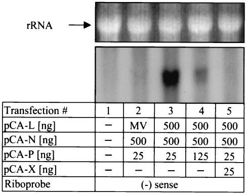 FIG. 5.