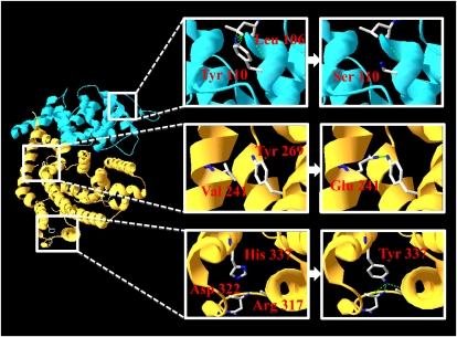 Figure 7.