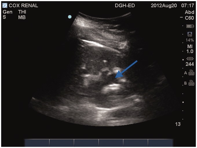 Figure 5