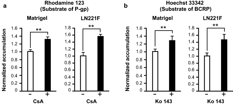 Fig. 4