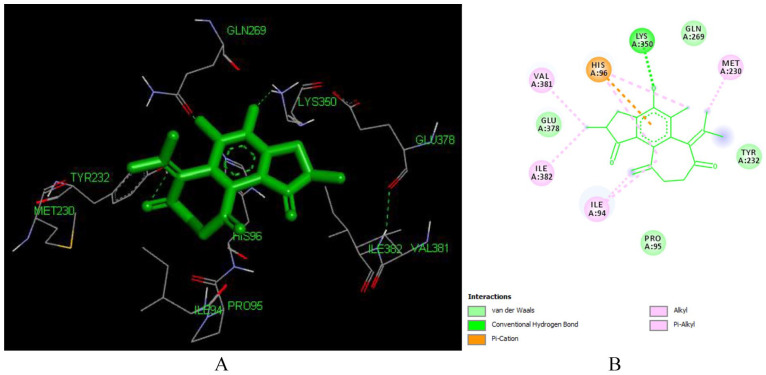 Figure 11.