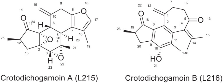 Figure 12.