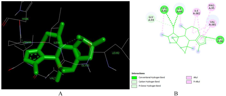 Figure 5.