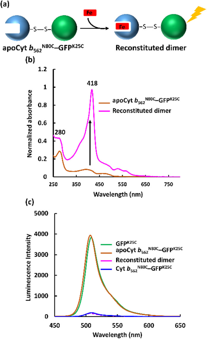 Fig. 3