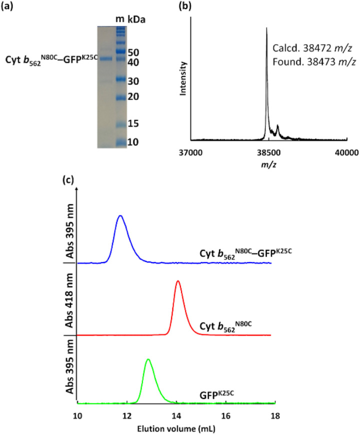 Fig. 2